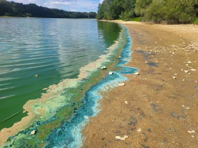Consommation du Poisson interdite à l'Etang de Moutiers